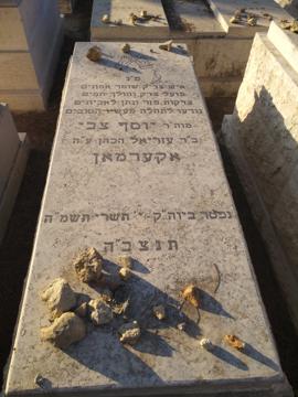 תמונת מצבה