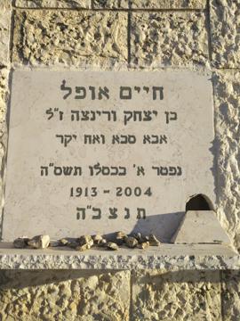 תמונת מצבה