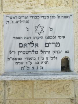 תמונת מצבה