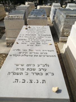 תמונת מצבה