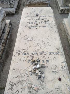 תמונת מצבה