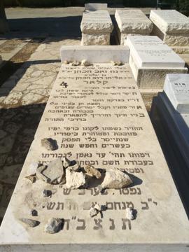 תמונת מצבה