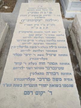 תמונת מצבה