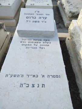 תמונת מצבה
