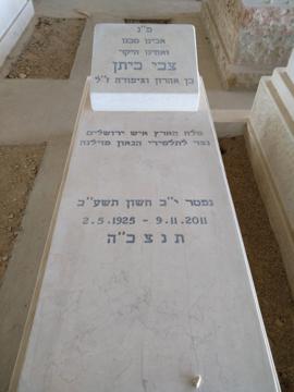 תמונת מצבה