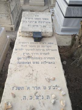 תמונת מצבה