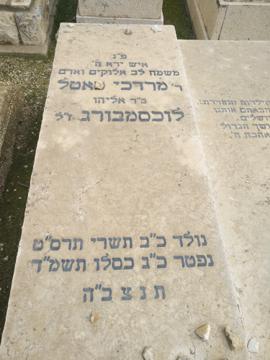 תמונת מצבה