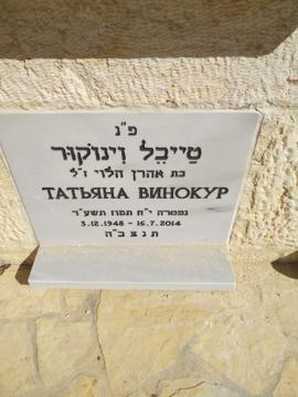 תמונת מצבה