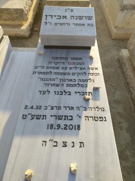 תמונת מצבה