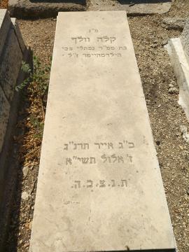 תמונת מצבה