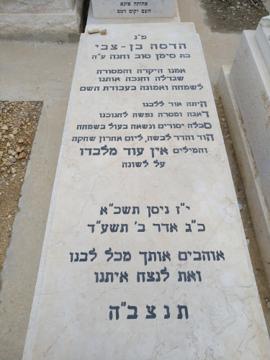 תמונת מצבה