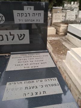 תמונת מצבה