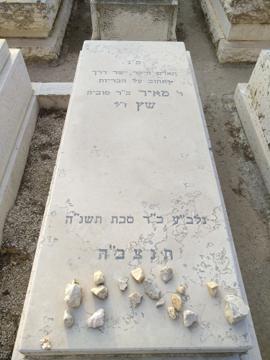 תמונת מצבה