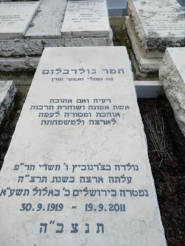 תמונת מצבה