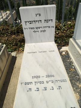 תמונת מצבה