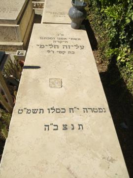 תמונת מצבה