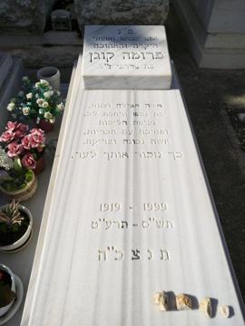 תמונת מצבה