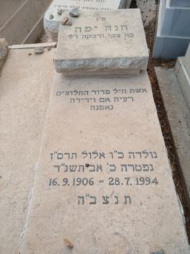תמונת מצבה