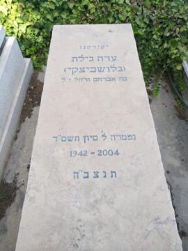 תמונת מצבה