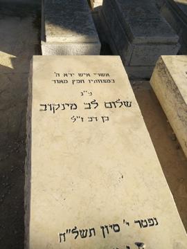 תמונת מצבה