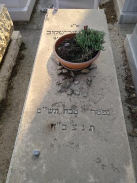 תמונת מצבה