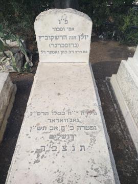 תמונת מצבה