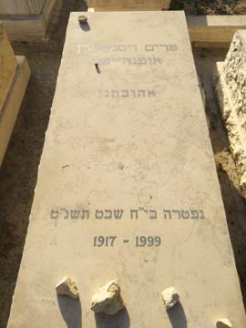 תמונת מצבה