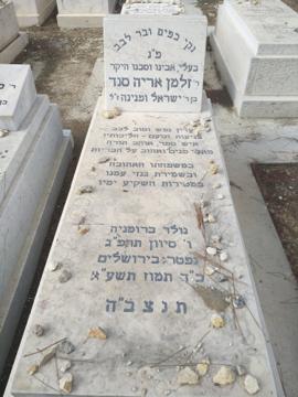 תמונת מצבה