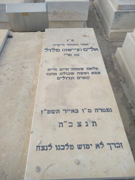 תמונת מצבה