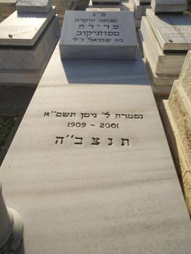 תמונת מצבה