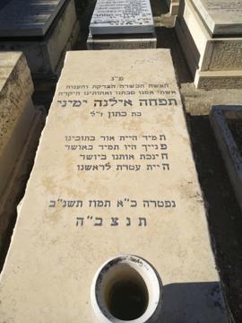 תמונת מצבה
