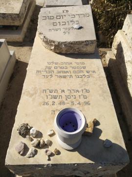 תמונת מצבה