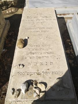תמונת מצבה