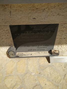 תמונת מצבה