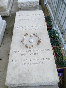 תמונת מצבה