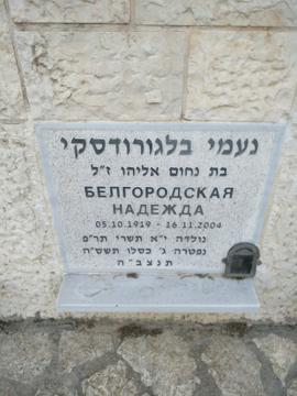 תמונת מצבה