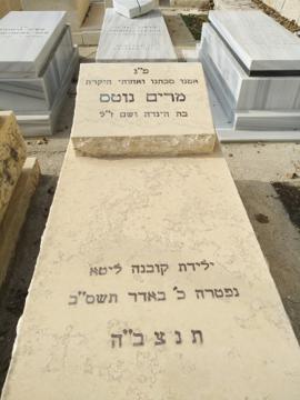 תמונת מצבה