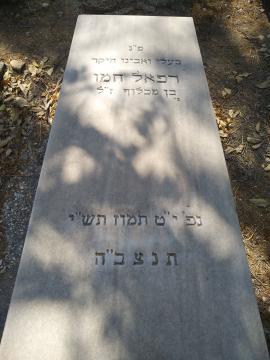 תמונת מצבה