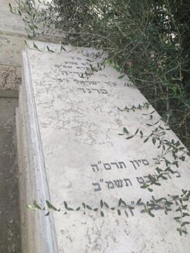תמונת מצבה
