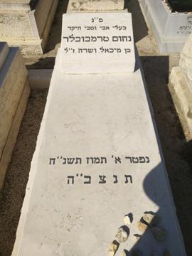 תמונת מצבה