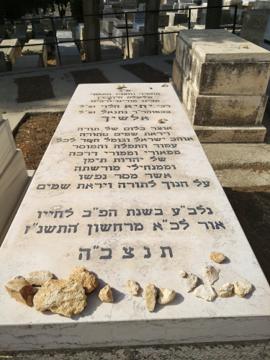 תמונת מצבה