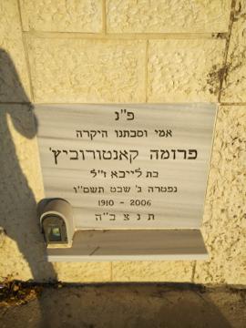 תמונת מצבה