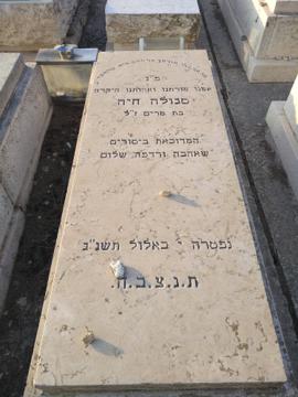 תמונת מצבה