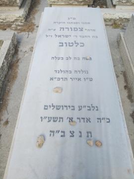 תמונת מצבה