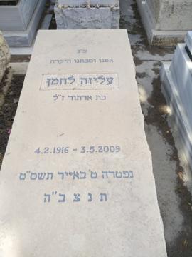 תמונת מצבה