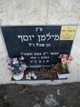 תמונת מצבה