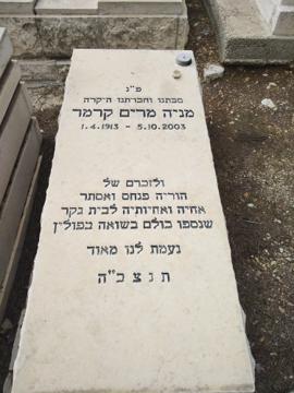 תמונת מצבה