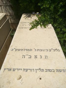 תמונת מצבה