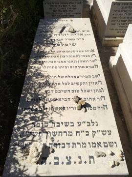 תמונת מצבה