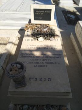 תמונת מצבה
